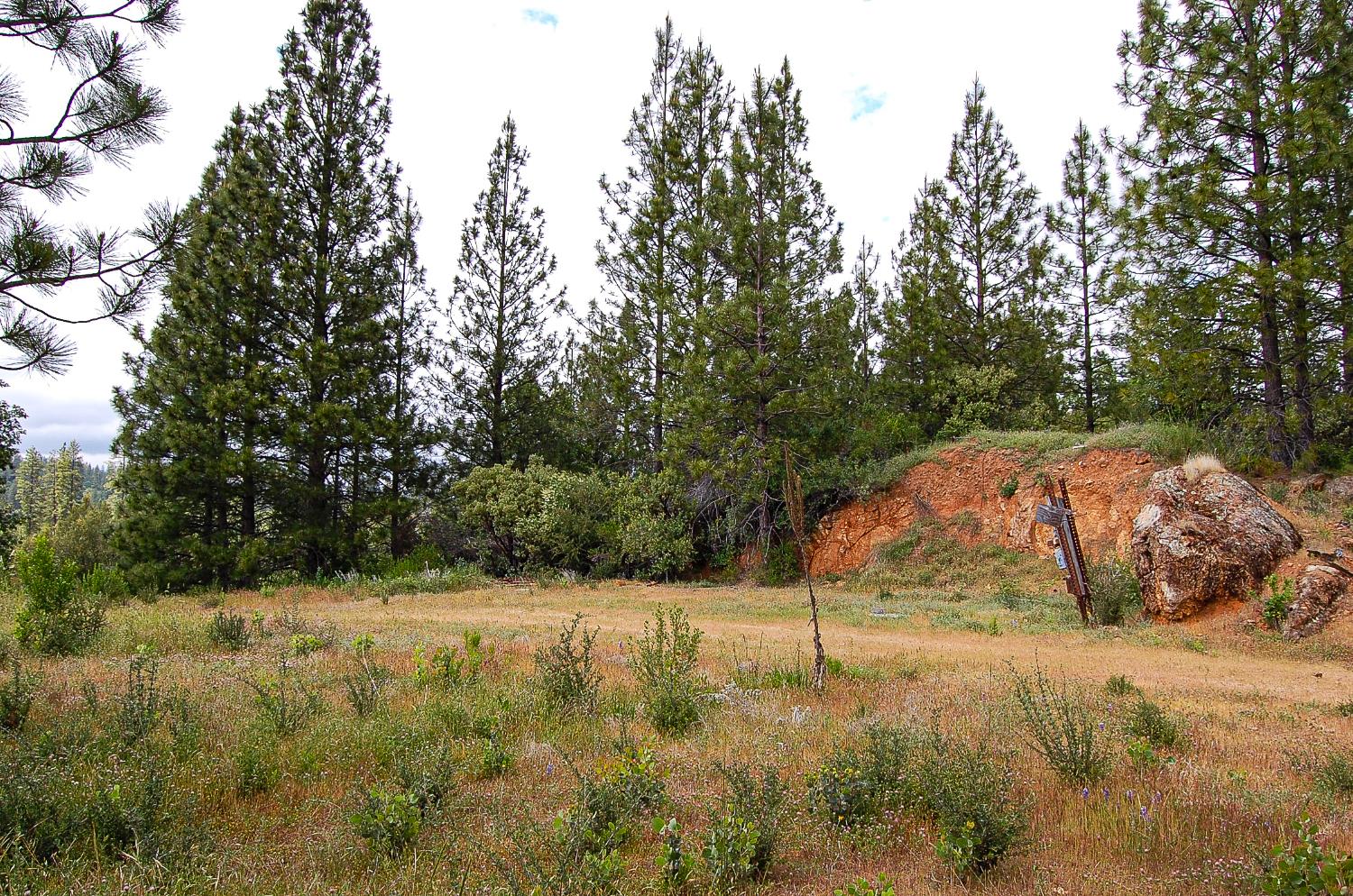 Detail Gallery Image 33 of 45 For 2676 Silver Mountain Rd, Rail Road Flat,  CA 95248 - – Beds | – Baths