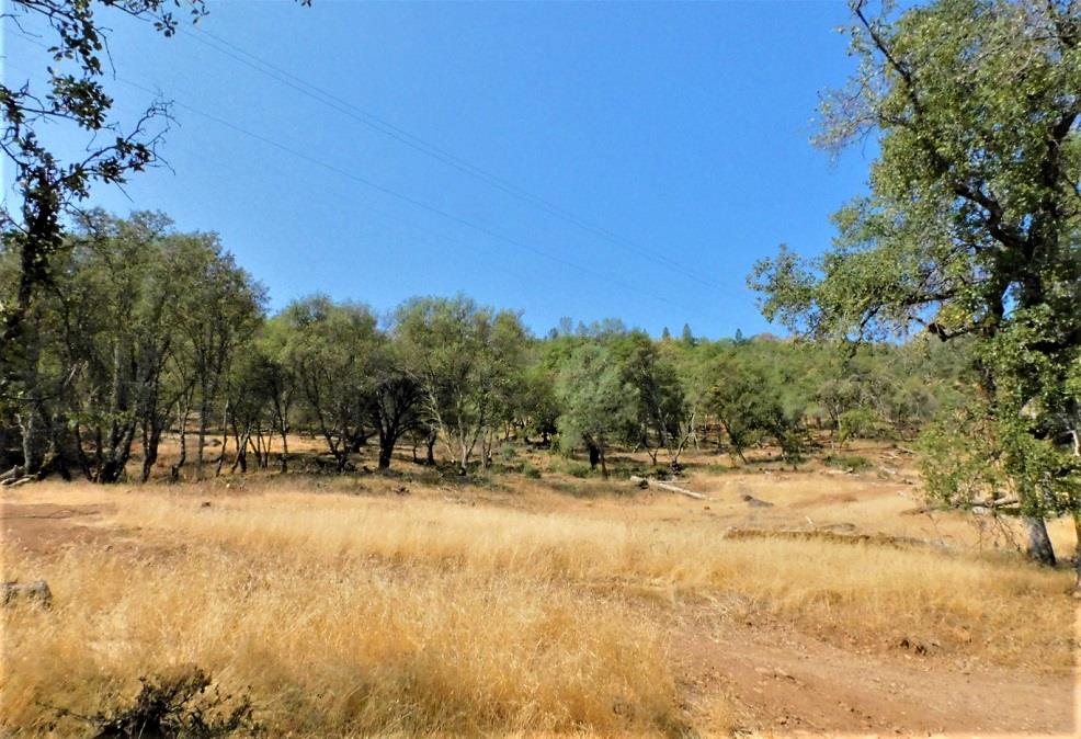 Detail Gallery Image 12 of 24 For 112 Union Mine Rd, El Dorado,  CA 95623 - – Beds | – Baths