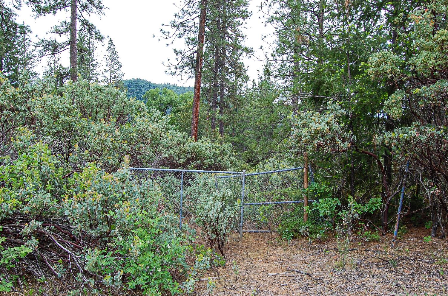Detail Gallery Image 42 of 45 For 2676 Silver Mountain Rd, Rail Road Flat,  CA 95248 - – Beds | – Baths
