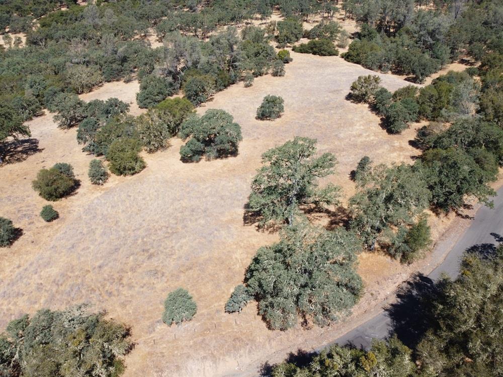 Detail Gallery Image 1 of 24 For 112 Union Mine Rd, El Dorado,  CA 95623 - – Beds | – Baths
