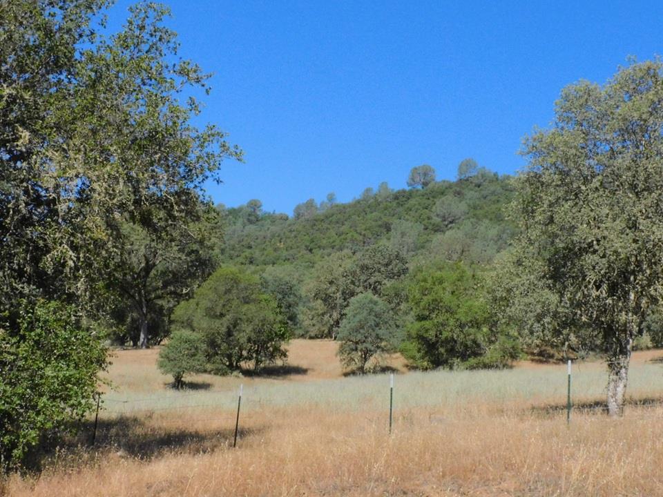 Detail Gallery Image 18 of 24 For 112 Union Mine Rd, El Dorado,  CA 95623 - – Beds | – Baths