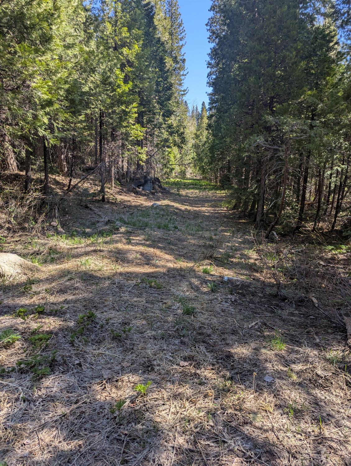 Detail Gallery Image 9 of 18 For 0 Texas Hill, Emigrant Gap,  CA 95715 - – Beds | – Baths