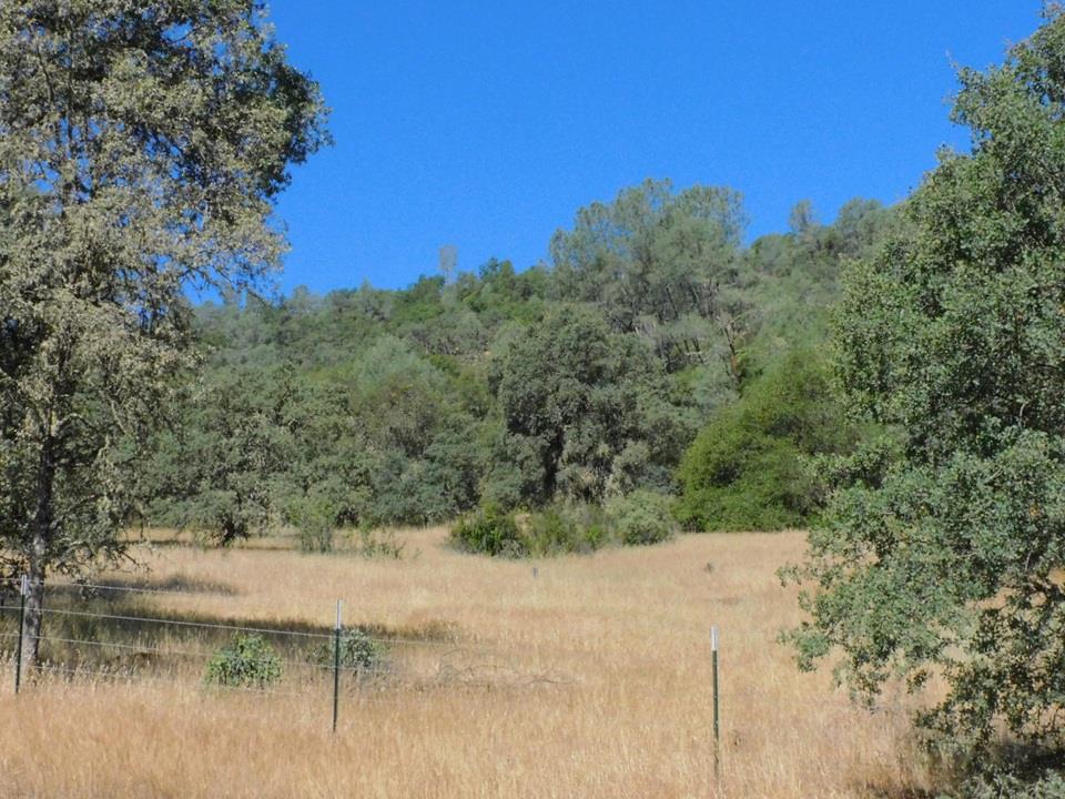 Detail Gallery Image 16 of 24 For 112 Union Mine Rd, El Dorado,  CA 95623 - – Beds | – Baths