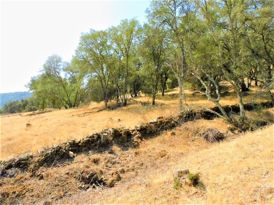 Detail Gallery Image 10 of 24 For 112 Union Mine Rd, El Dorado,  CA 95623 - – Beds | – Baths
