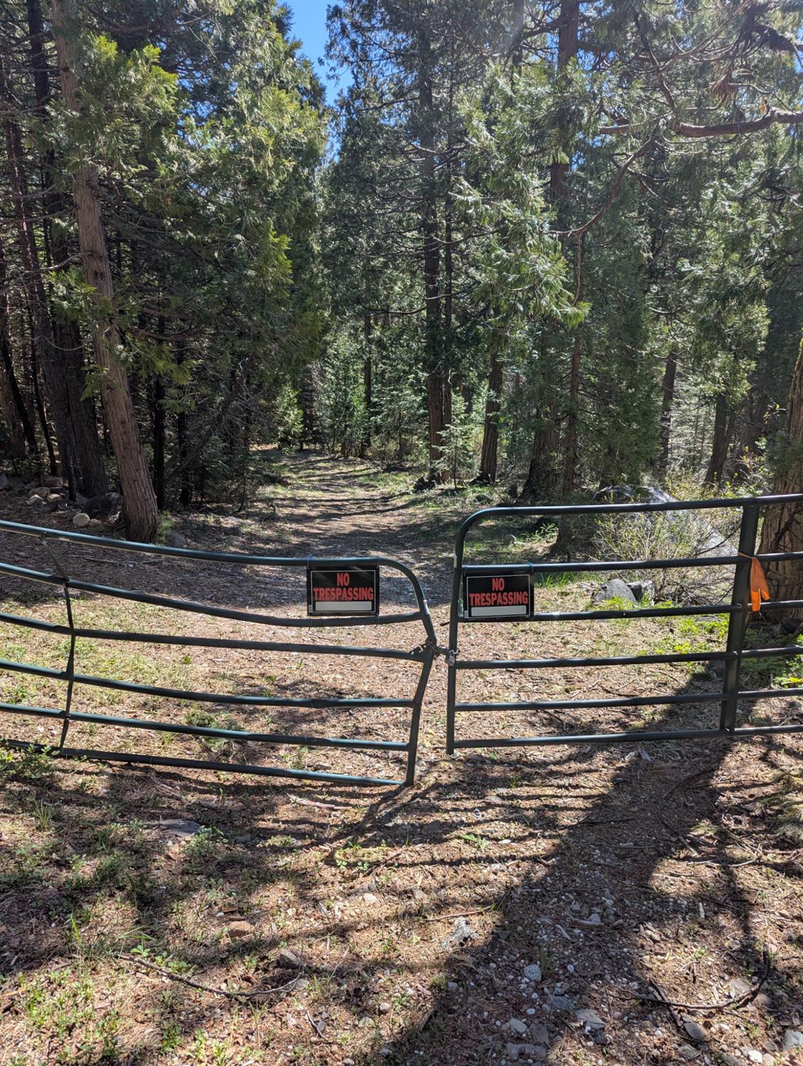 Detail Gallery Image 5 of 18 For 0 Texas Hill, Emigrant Gap,  CA 95715 - – Beds | – Baths