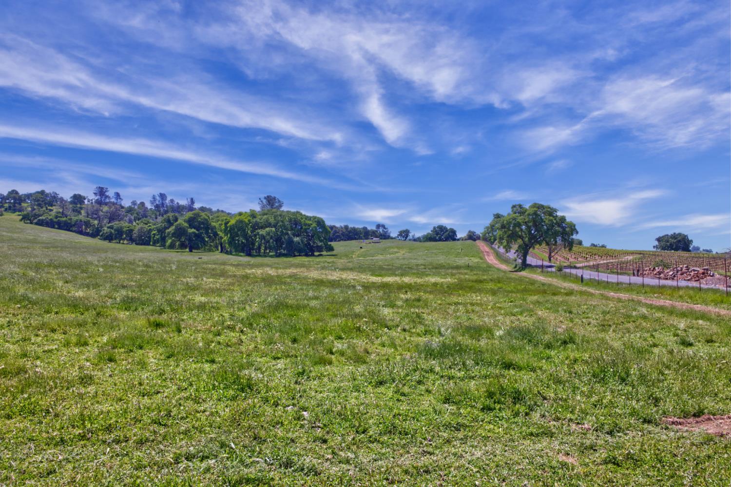 Detail Gallery Image 31 of 37 For 21012 Shenandoah School Road, Plymouth,  CA 95669 - – Beds | – Baths