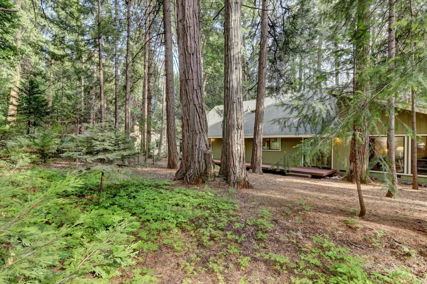 Detail Gallery Image 62 of 98 For 13480 Red Dog Rd, Nevada City,  CA 95959 - 3 Beds | 2/1 Baths
