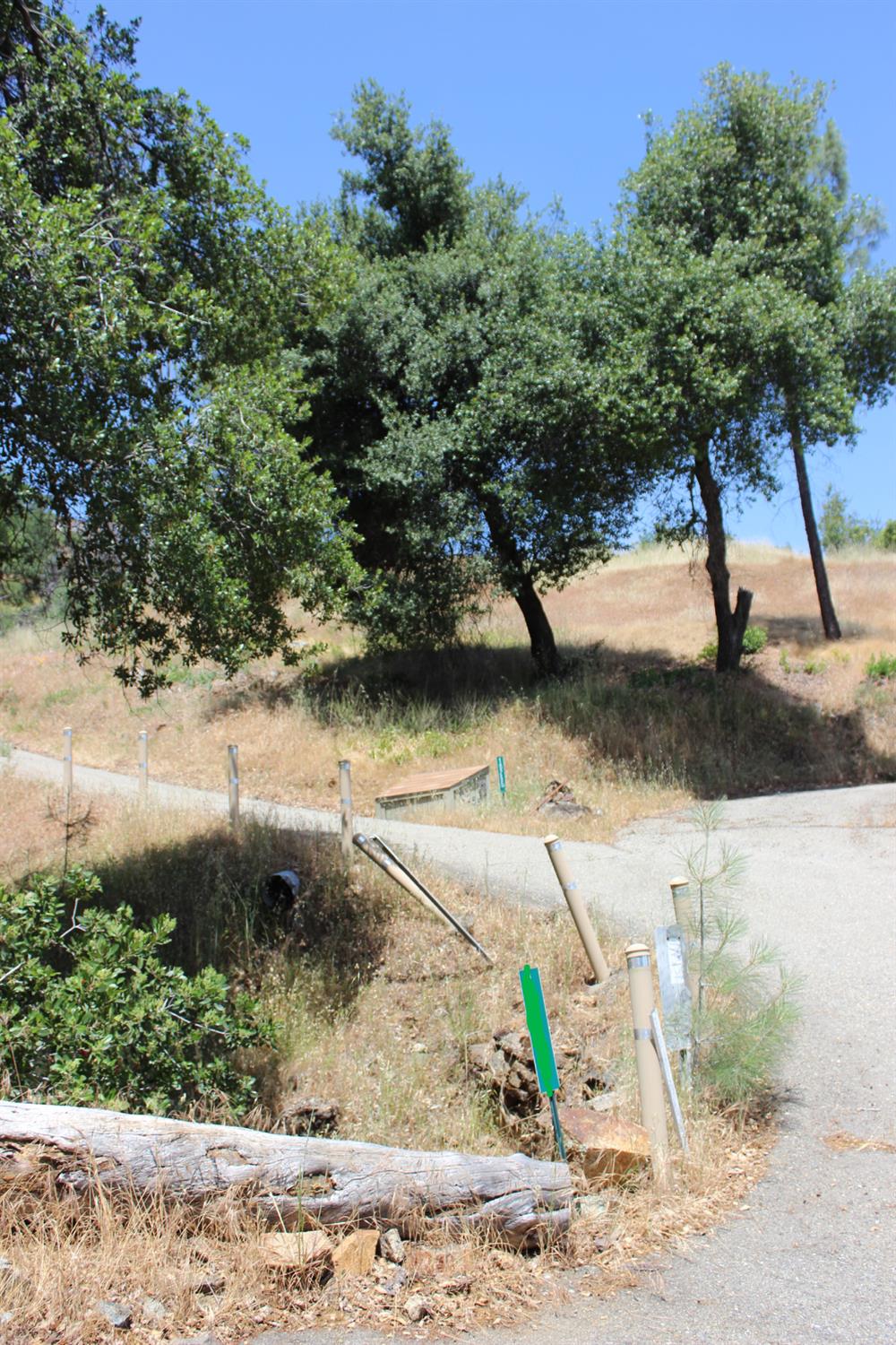 Carrousel Drive, Redding, California image 31