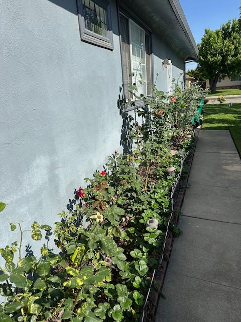 Detail Gallery Image 14 of 77 For 820 Park St, Lodi,  CA 95240 - 3 Beds | 2 Baths