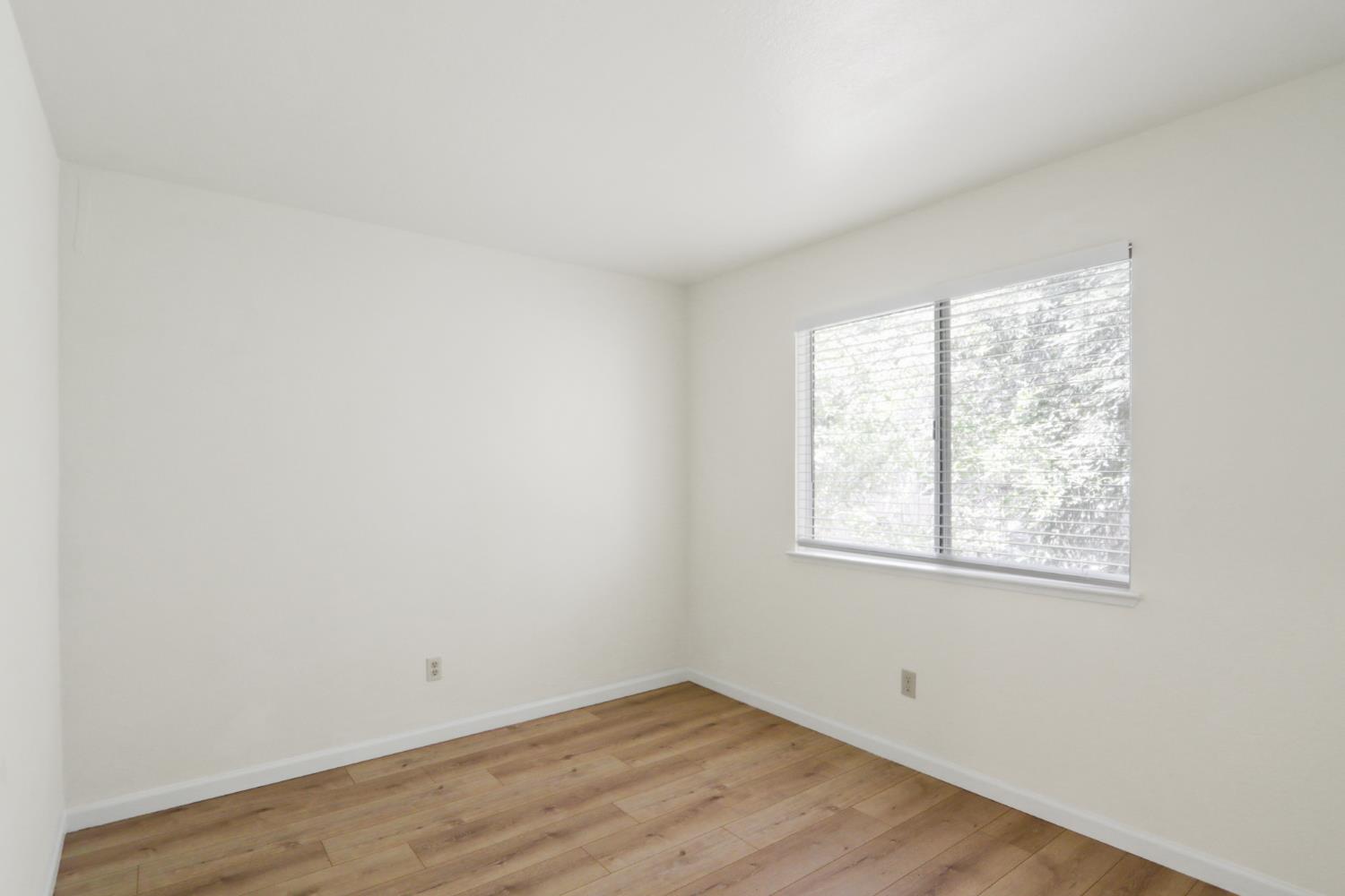 Photo #16: 225063516 Listing: Photo #16