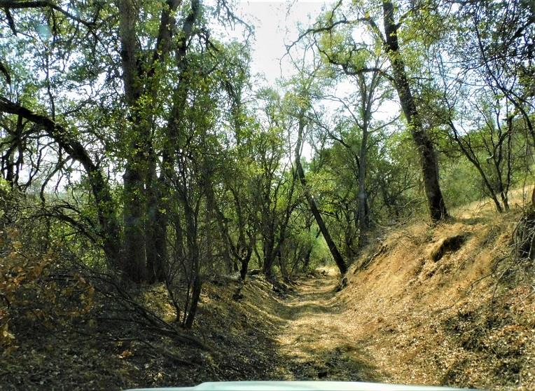 Detail Gallery Image 15 of 24 For 112 Union Mine Rd, El Dorado,  CA 95623 - – Beds | – Baths