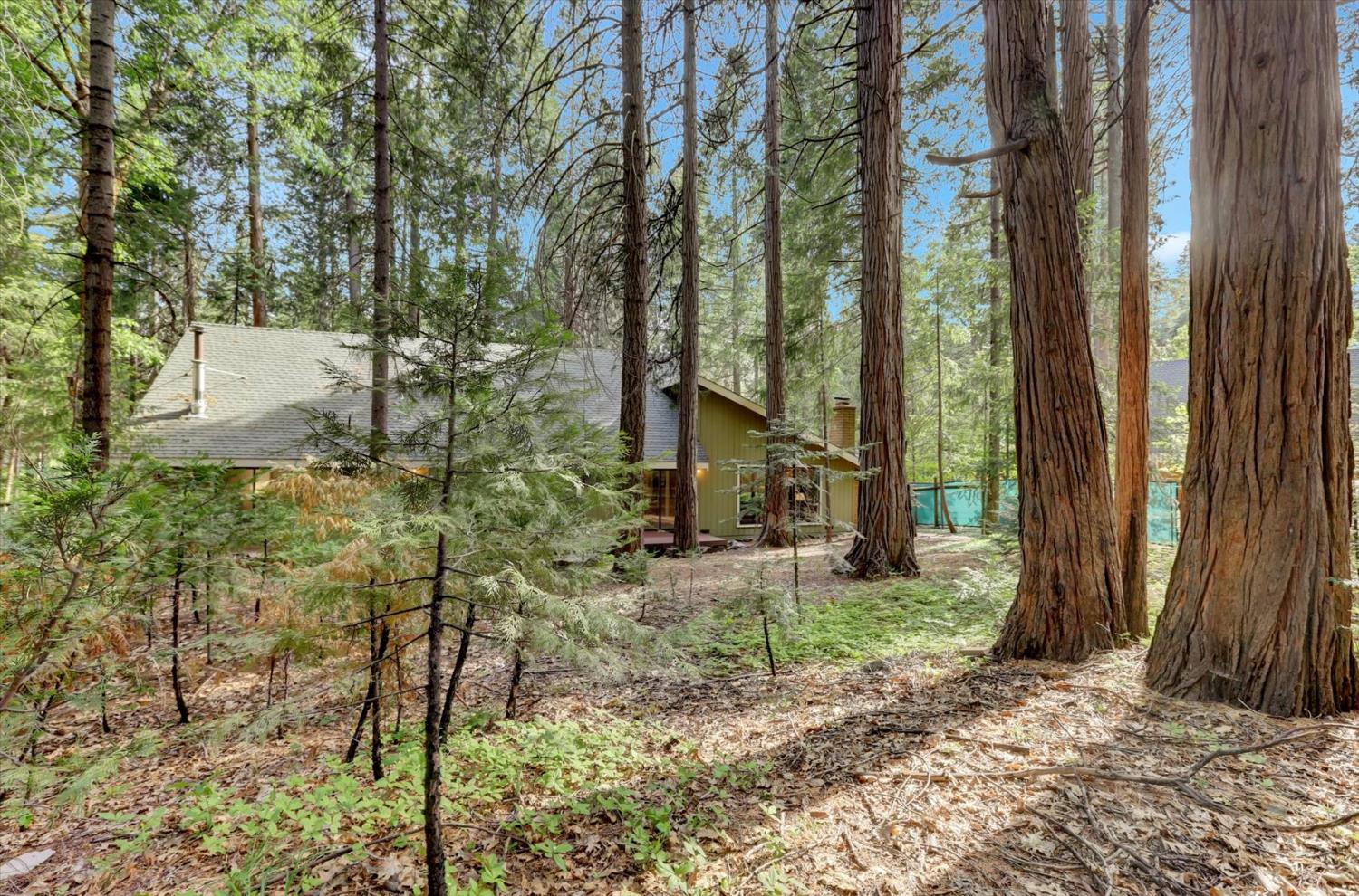 Detail Gallery Image 63 of 98 For 13480 Red Dog Rd, Nevada City,  CA 95959 - 3 Beds | 2/1 Baths