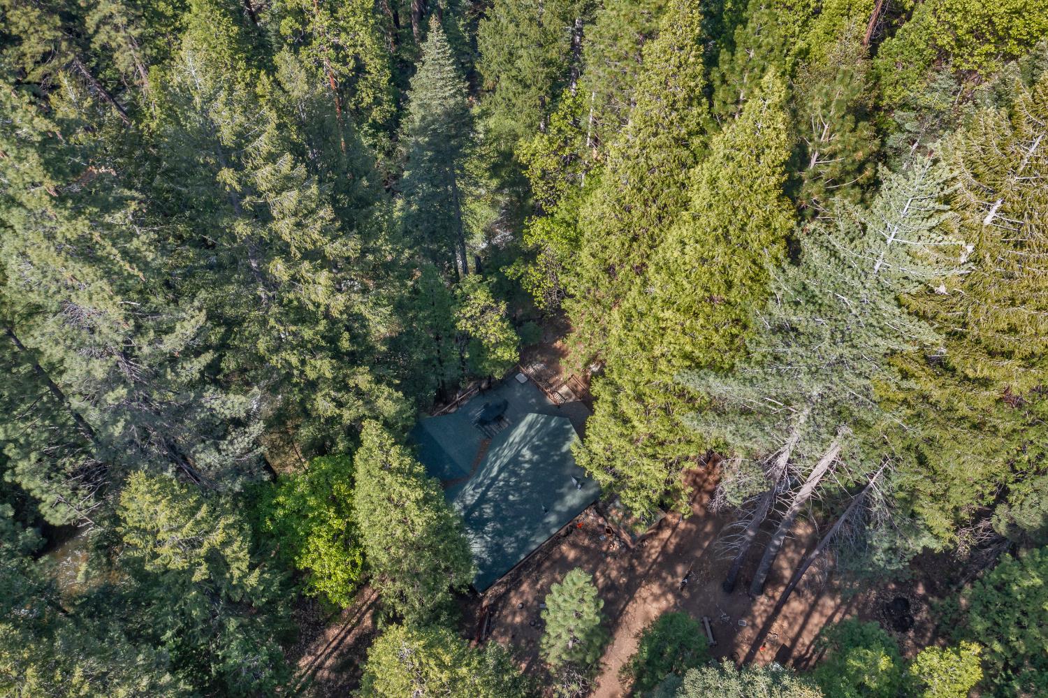 Shirley Avenue, Kyburz, California image 14