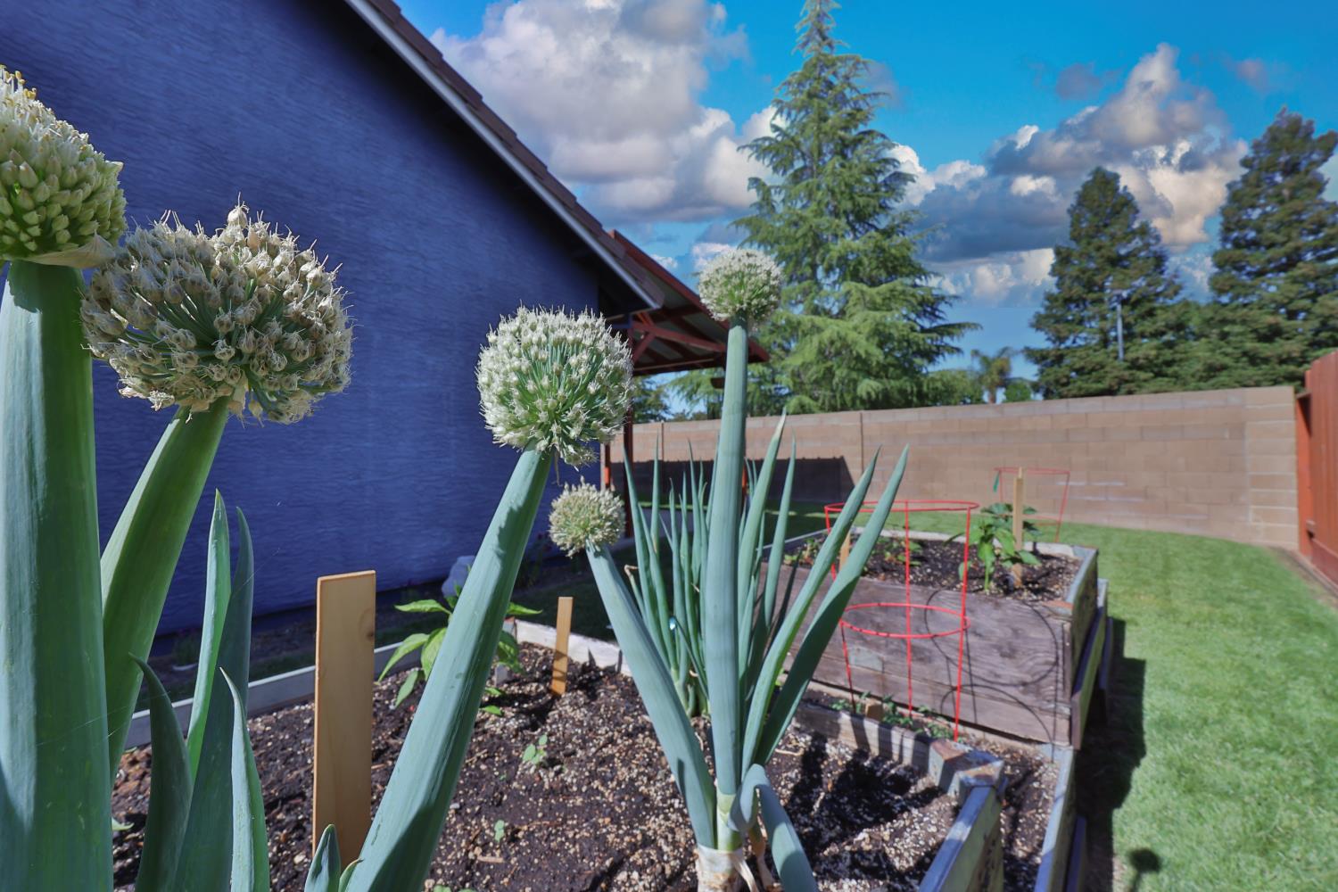 Detail Gallery Image 35 of 48 For 1575 Larkflower Way, Lincoln,  CA 95648 - 3 Beds | 2 Baths