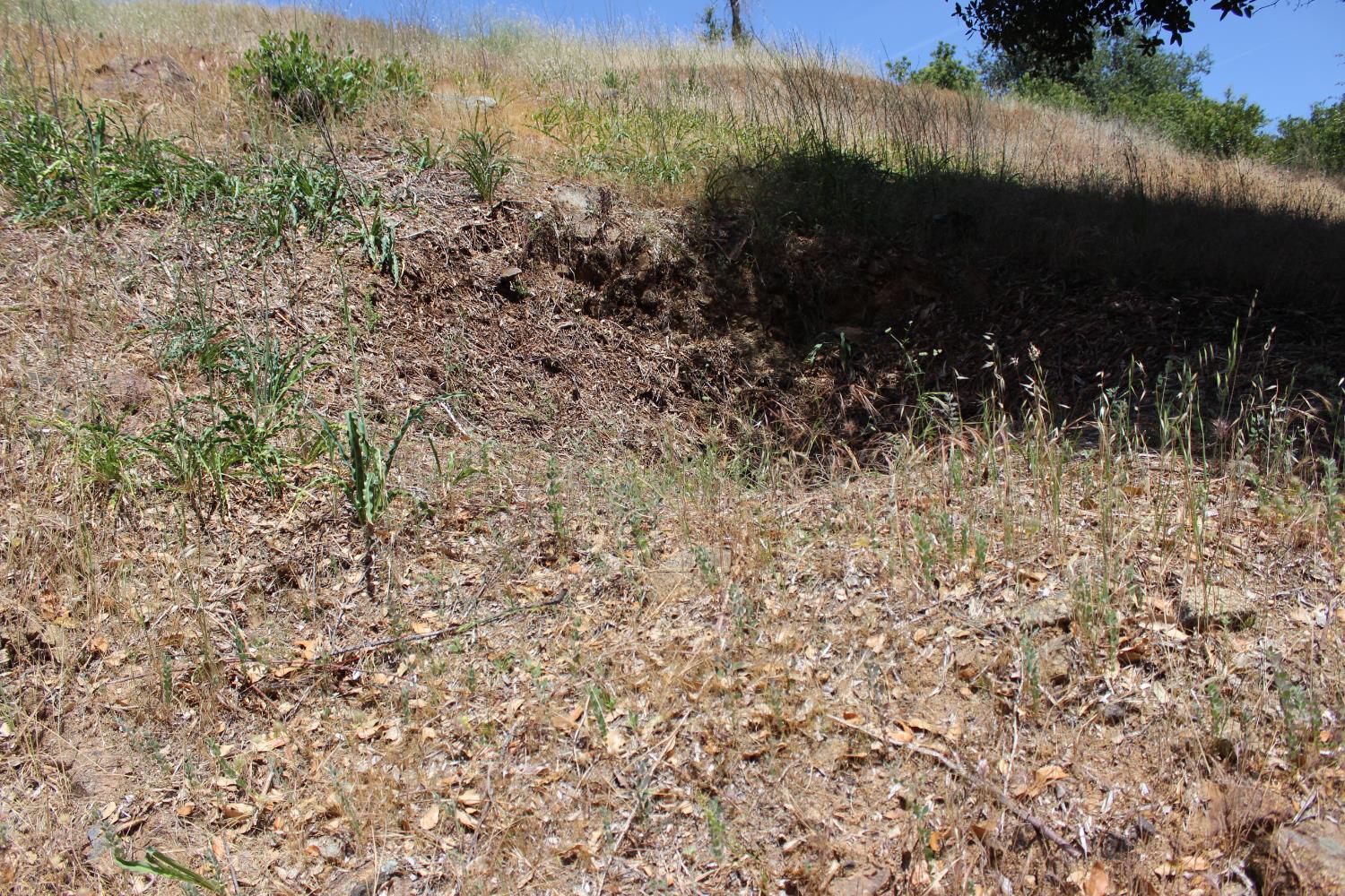 Carrousel Drive, Redding, California image 37
