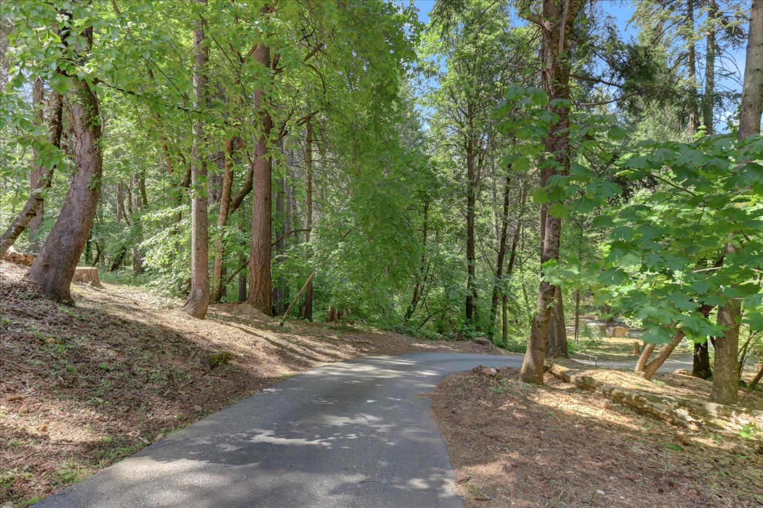 Detail Gallery Image 56 of 90 For 12569 Pasquale Rd, Nevada City,  CA 95959 - 2 Beds | 2 Baths