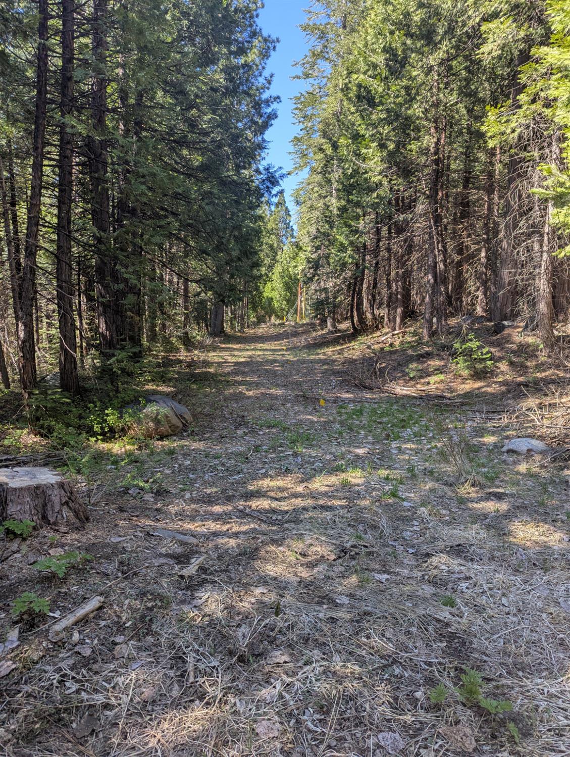 Detail Gallery Image 8 of 18 For 0 Texas Hill, Emigrant Gap,  CA 95715 - – Beds | – Baths