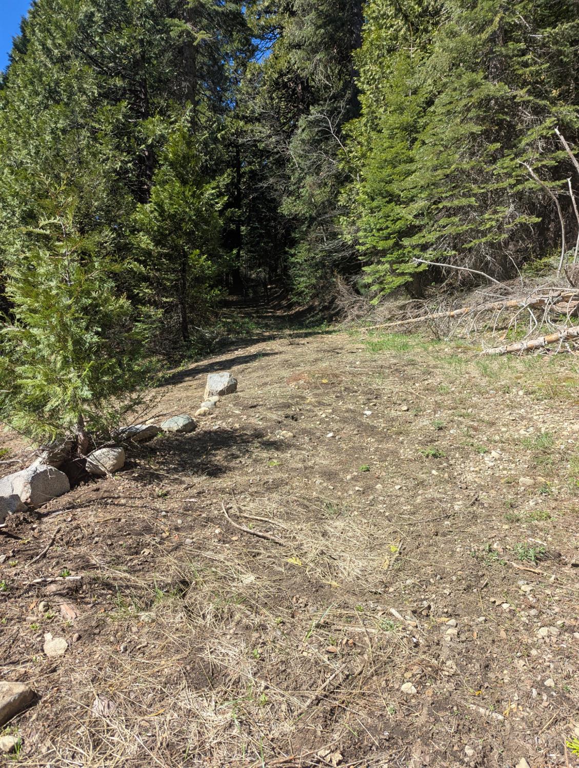 Detail Gallery Image 6 of 18 For 0 Texas Hill, Emigrant Gap,  CA 95715 - – Beds | – Baths
