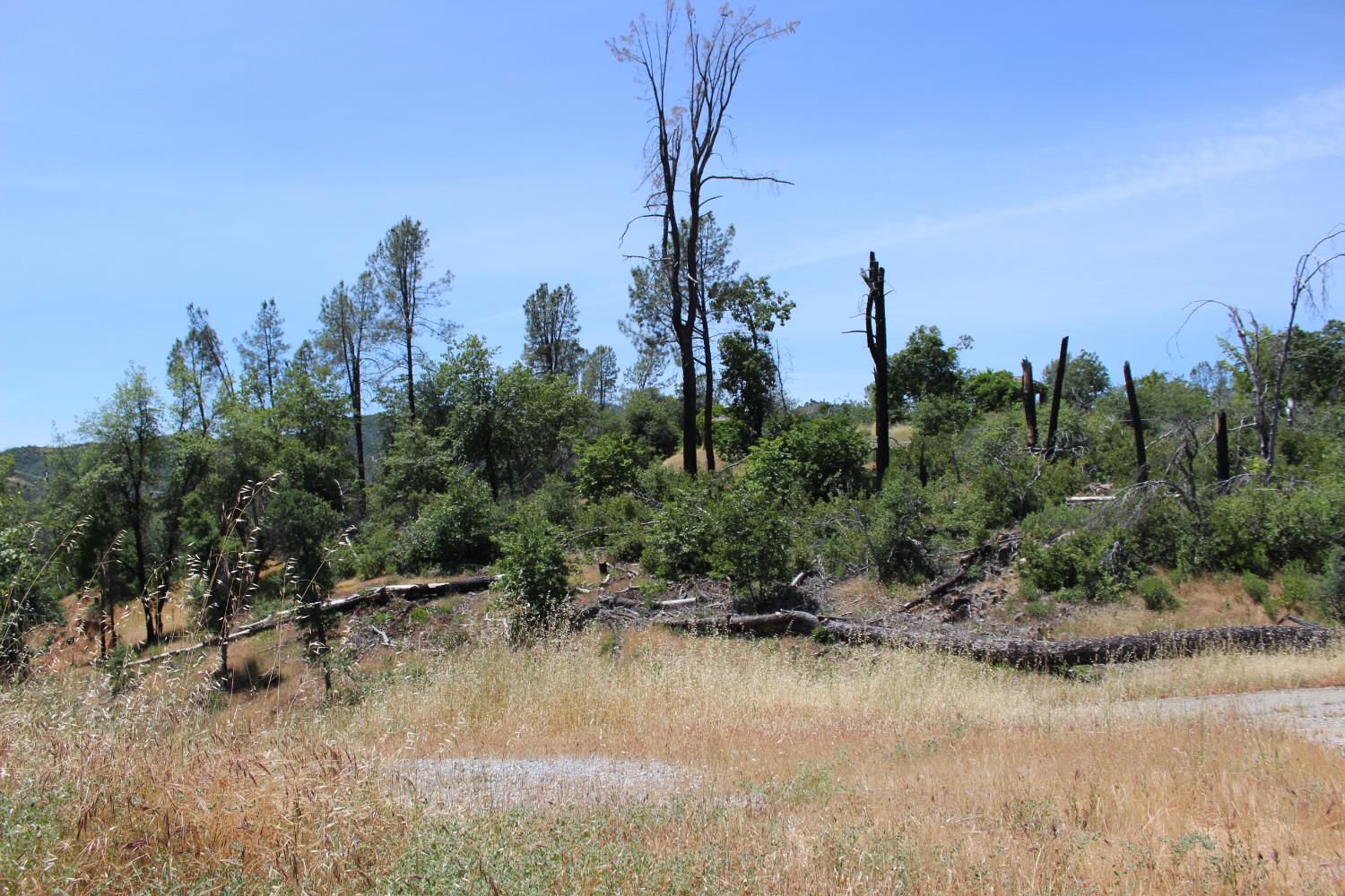 Carrousel Drive, Redding, California image 4