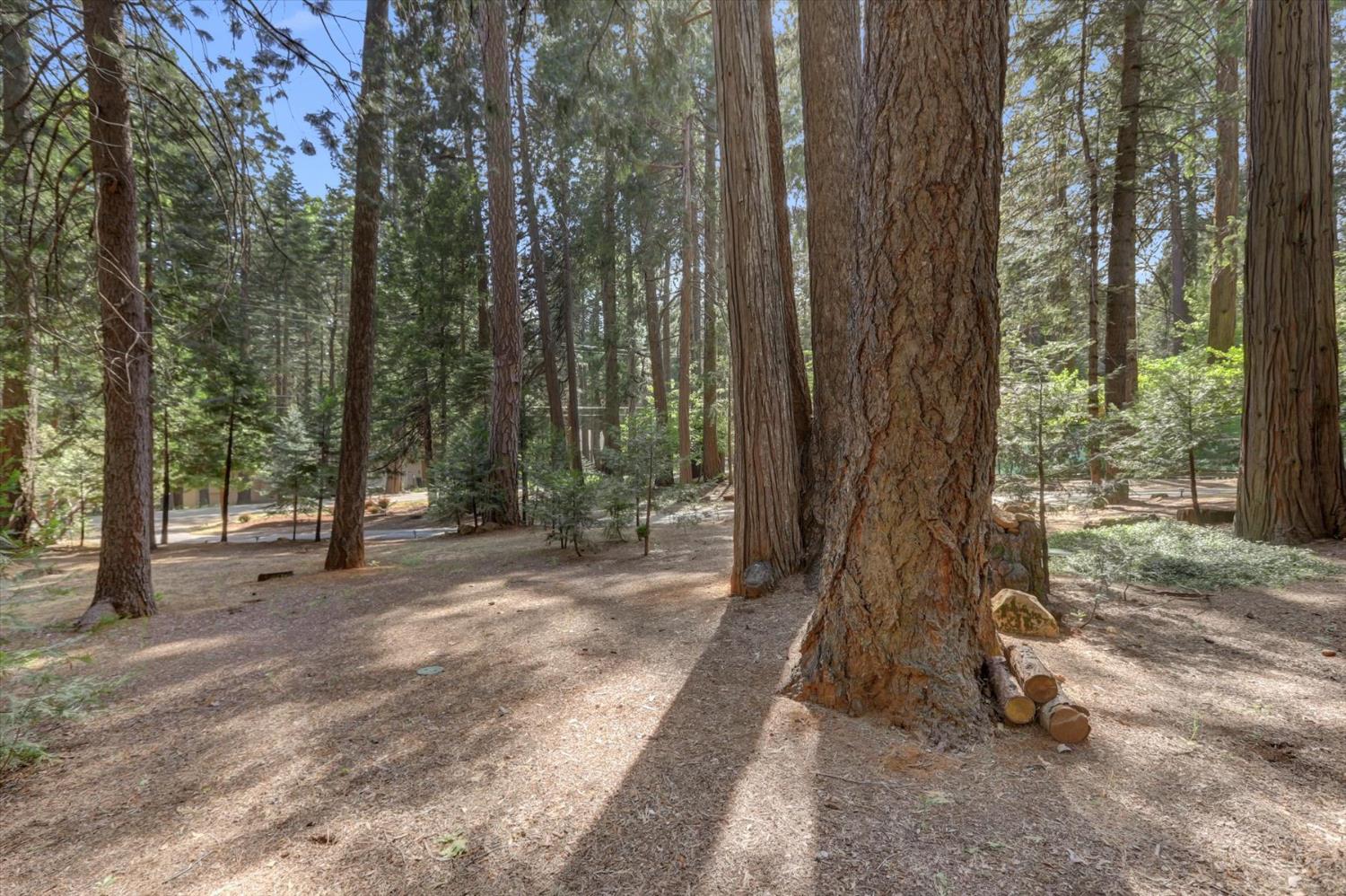 Detail Gallery Image 88 of 98 For 13480 Red Dog Rd, Nevada City,  CA 95959 - 3 Beds | 2/1 Baths