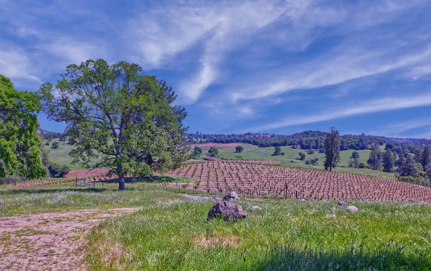 Detail Gallery Image 34 of 37 For 21012 Shenandoah School Road, Plymouth,  CA 95669 - – Beds | – Baths