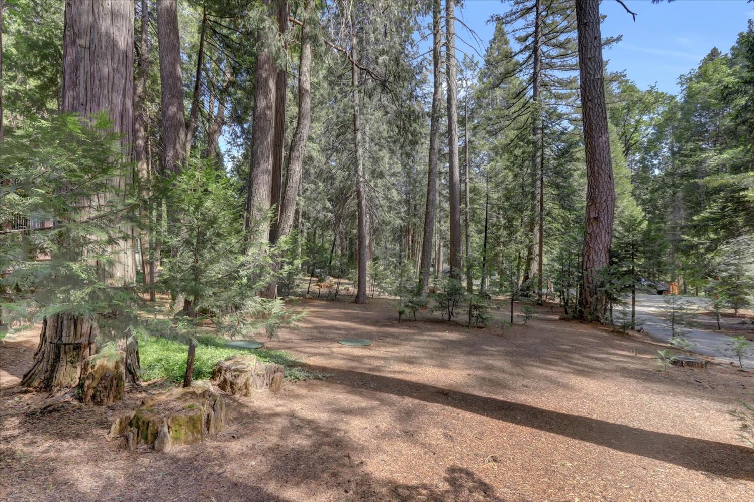 Detail Gallery Image 89 of 98 For 13480 Red Dog Rd, Nevada City,  CA 95959 - 3 Beds | 2/1 Baths