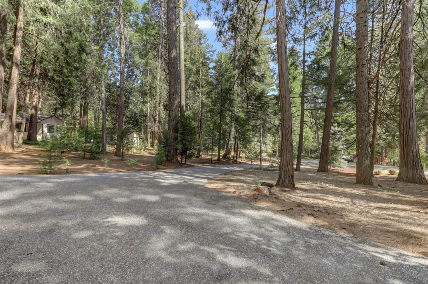 Detail Gallery Image 86 of 98 For 13480 Red Dog Rd, Nevada City,  CA 95959 - 3 Beds | 2/1 Baths