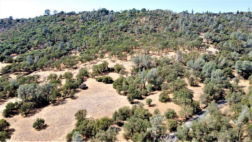 Detail Gallery Image 7 of 24 For 112 Union Mine Rd, El Dorado,  CA 95623 - – Beds | – Baths