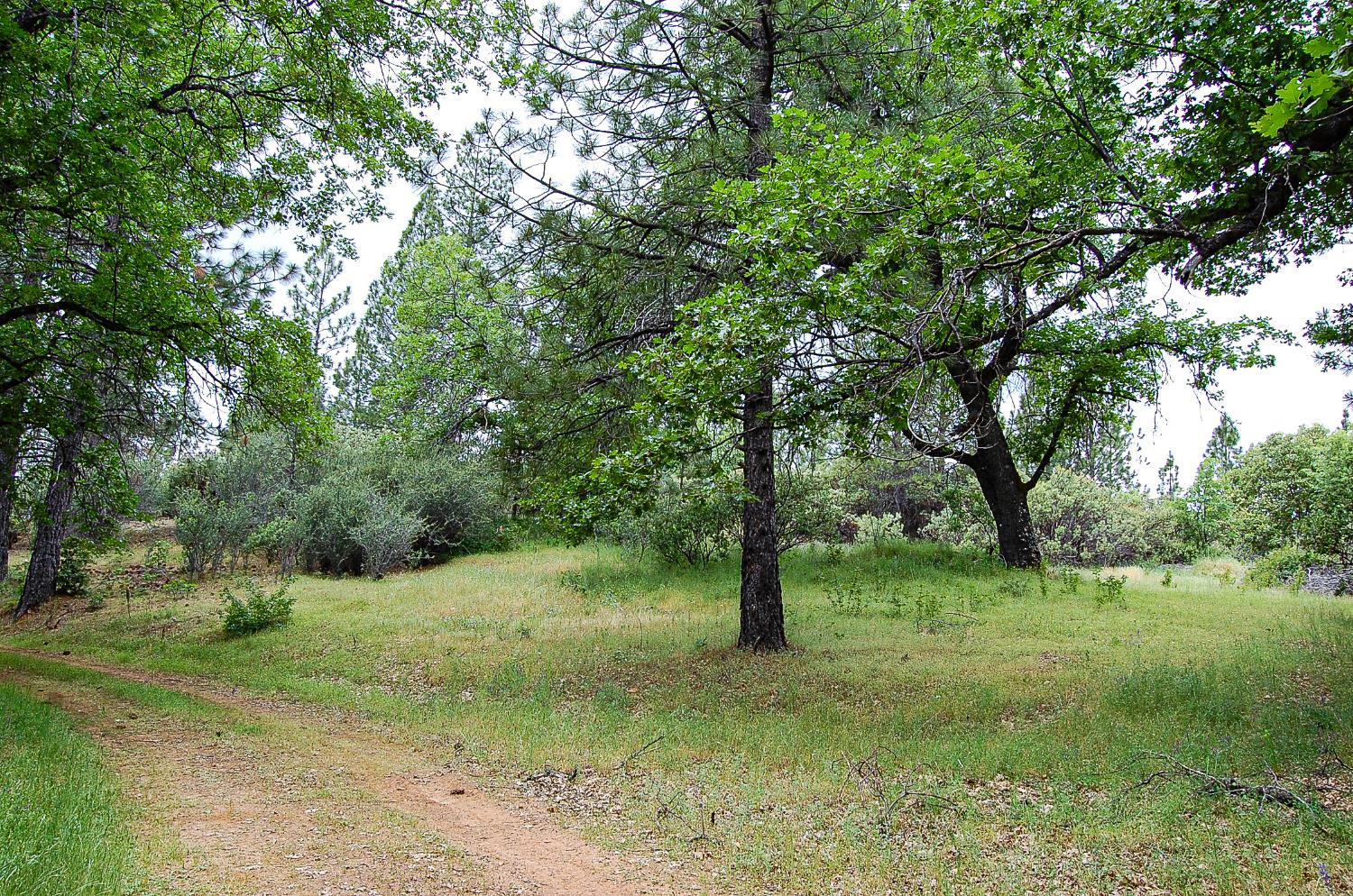 Detail Gallery Image 5 of 45 For 2676 Silver Mountain Rd, Rail Road Flat,  CA 95248 - – Beds | – Baths
