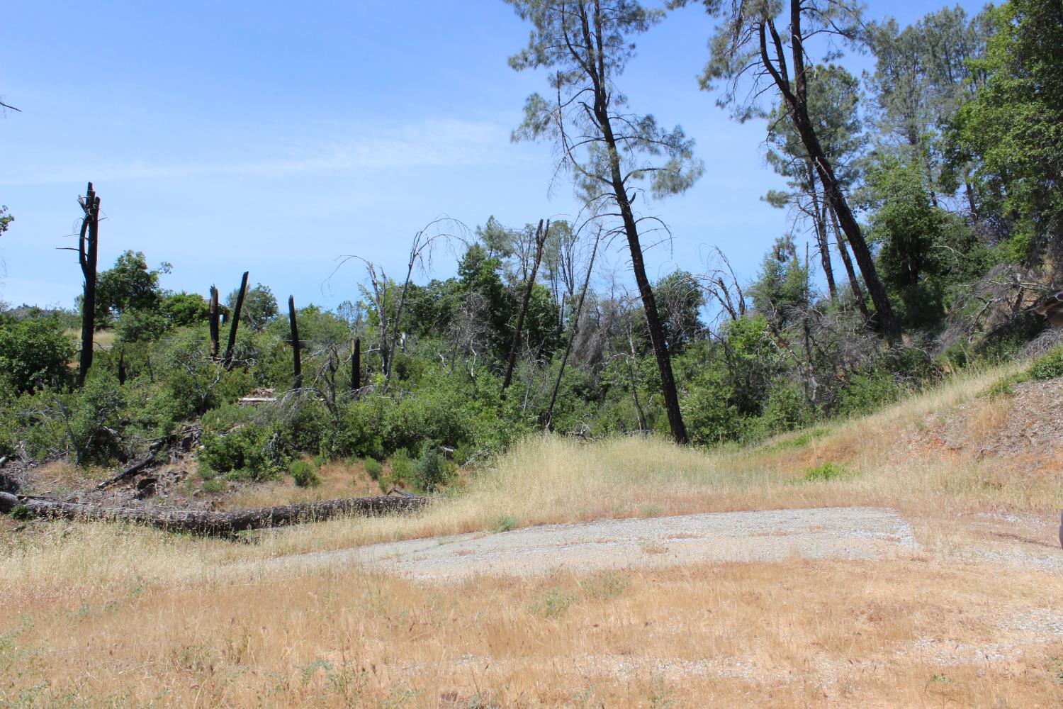 Carrousel Drive, Redding, California image 3