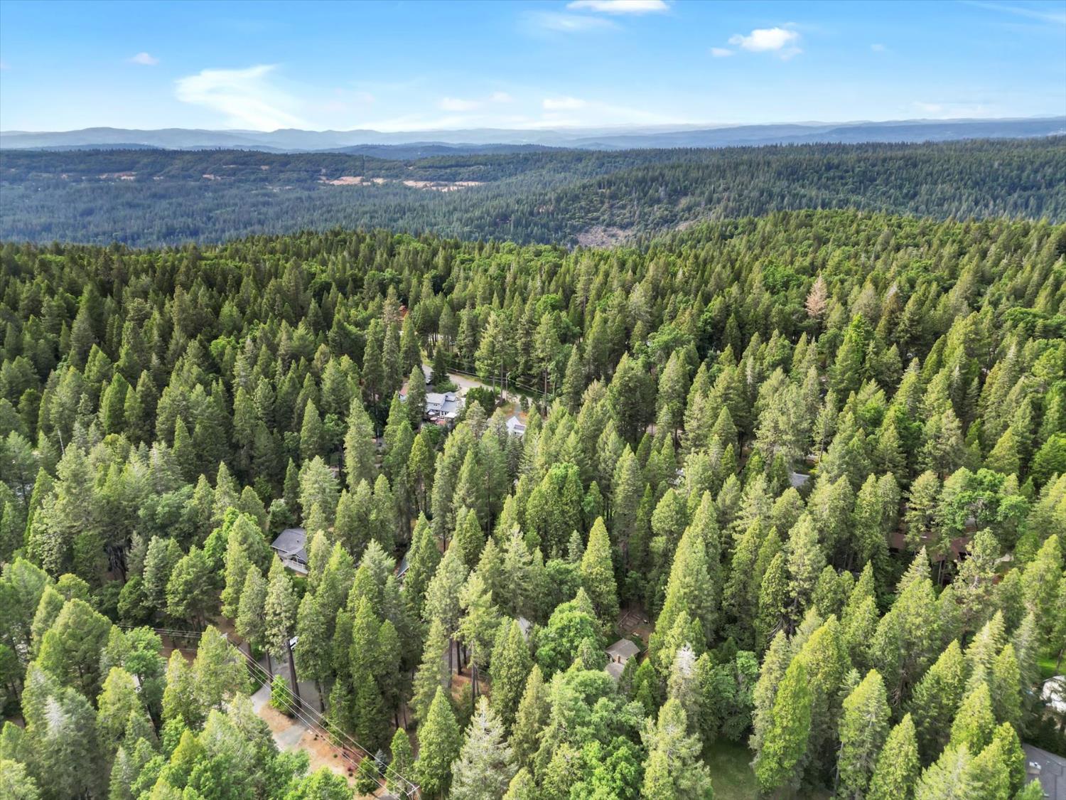Detail Gallery Image 73 of 98 For 13480 Red Dog Rd, Nevada City,  CA 95959 - 3 Beds | 2/1 Baths
