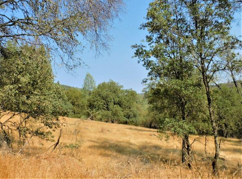 Detail Gallery Image 13 of 24 For 112 Union Mine Rd, El Dorado,  CA 95623 - – Beds | – Baths