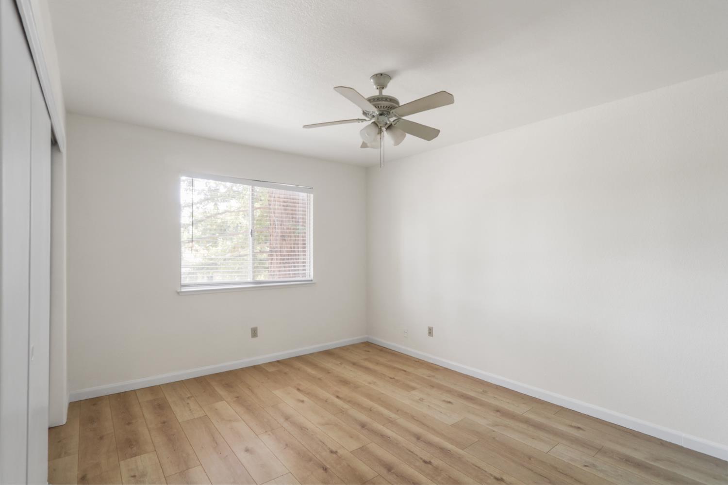 Photo #12: 225063516 Listing: Photo #12