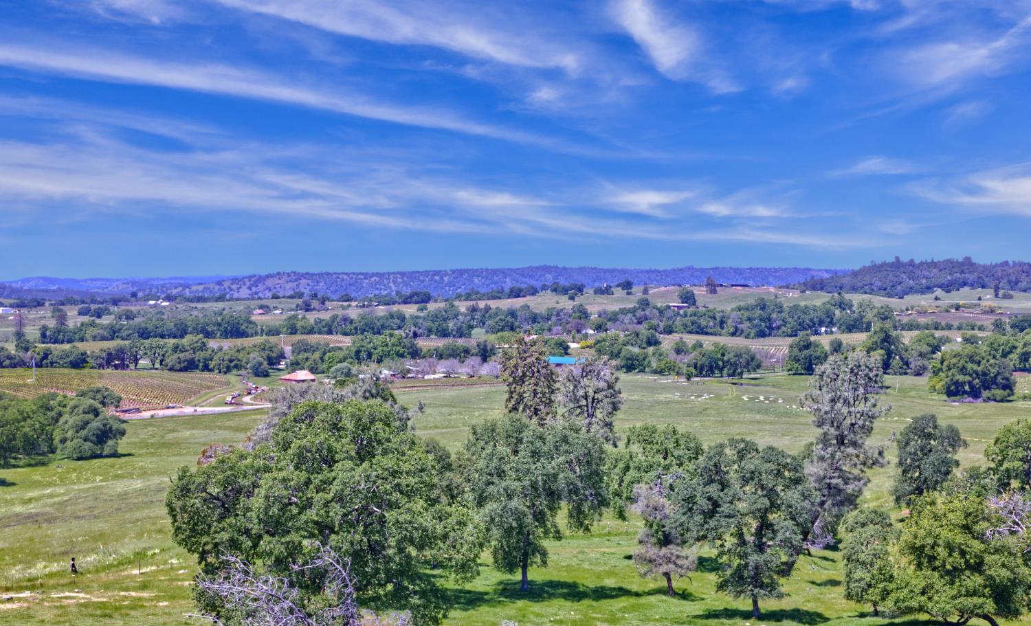 Detail Gallery Image 24 of 37 For 21012 Shenandoah School Road, Plymouth,  CA 95669 - – Beds | – Baths