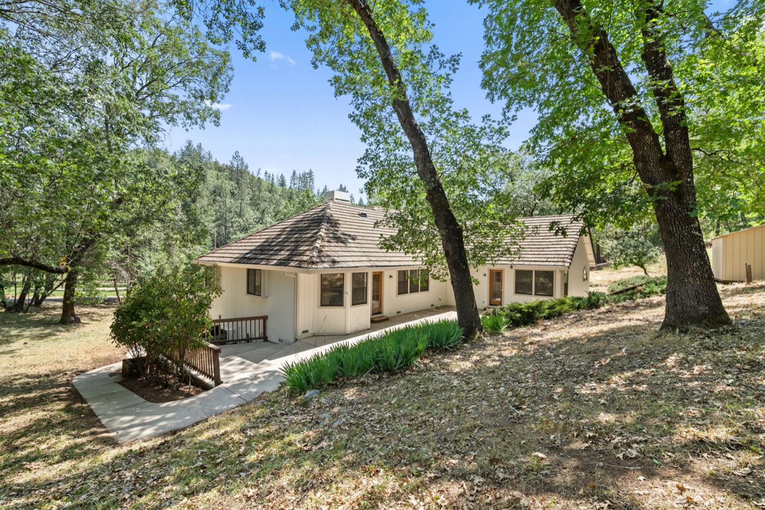 Blackberry Lane, Meadow Vista, California image 39