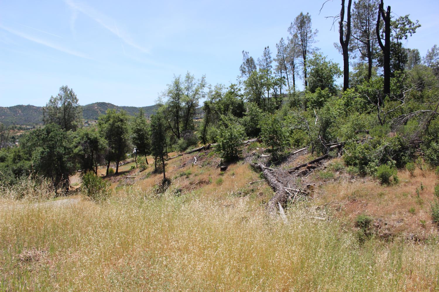 Carrousel Drive, Redding, California image 28