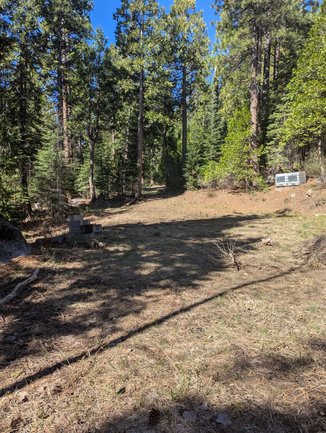 Detail Gallery Image 16 of 18 For 0 Texas Hill, Emigrant Gap,  CA 95715 - – Beds | – Baths