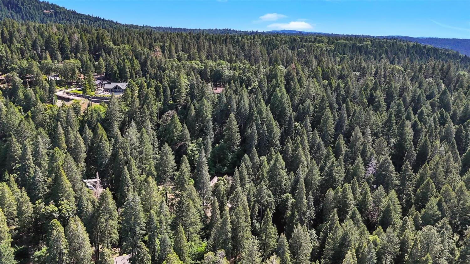 Detail Gallery Image 46 of 90 For 12569 Pasquale Rd, Nevada City,  CA 95959 - 2 Beds | 2 Baths