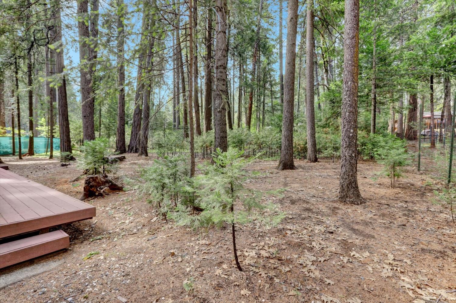 Detail Gallery Image 65 of 98 For 13480 Red Dog Rd, Nevada City,  CA 95959 - 3 Beds | 2/1 Baths