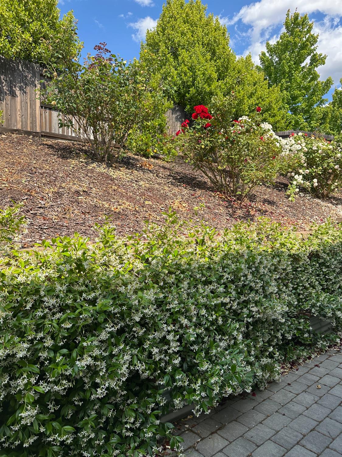 Detail Gallery Image 63 of 63 For 3223 Haskell Way, El Dorado Hills,  CA 95762 - 4 Beds | 2/1 Baths