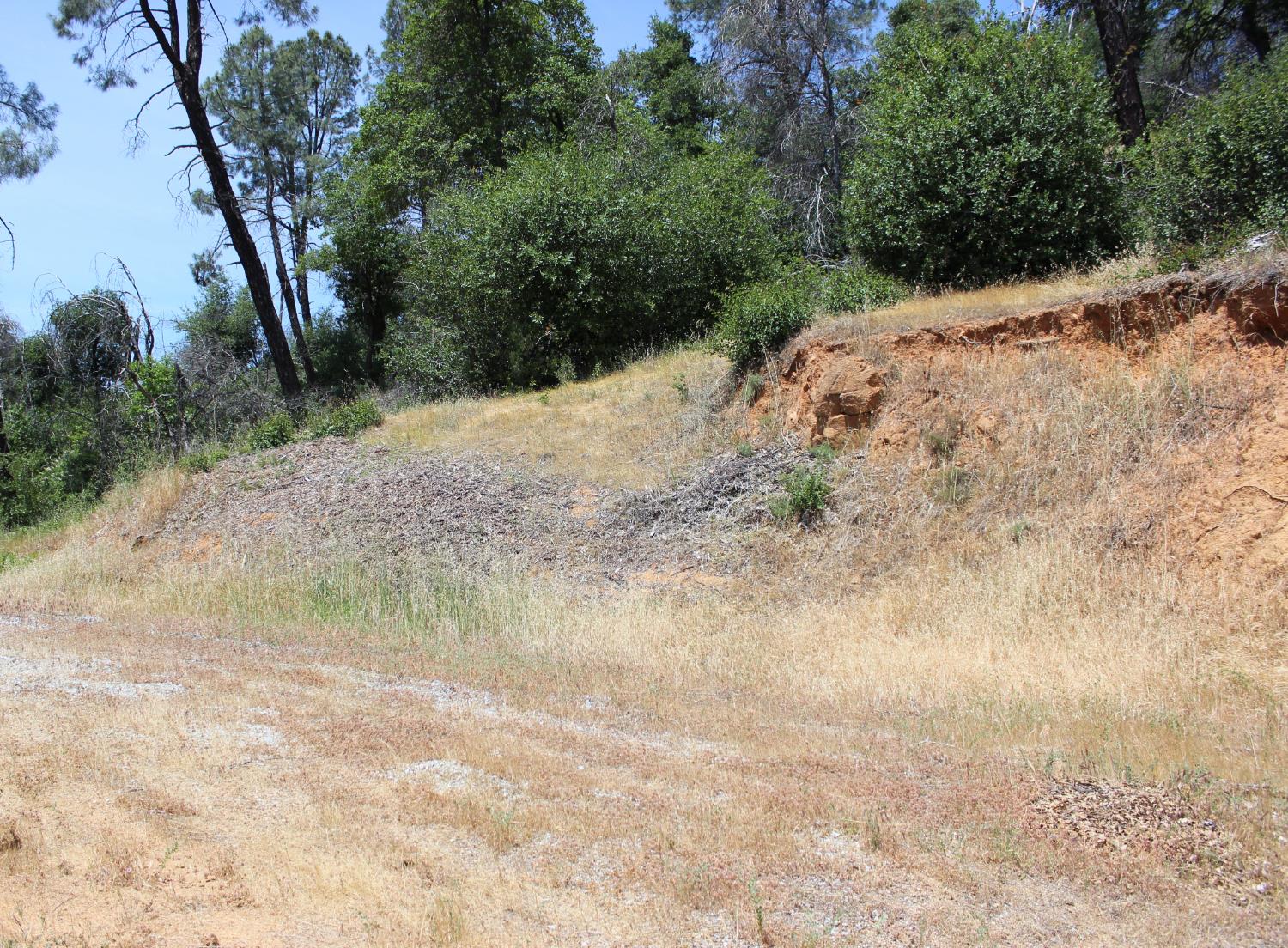 Carrousel Drive, Redding, California image 7