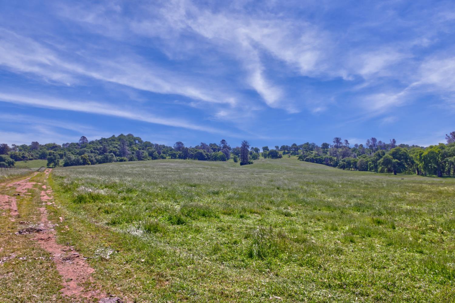 Detail Gallery Image 32 of 37 For 21012 Shenandoah School Road, Plymouth,  CA 95669 - – Beds | – Baths