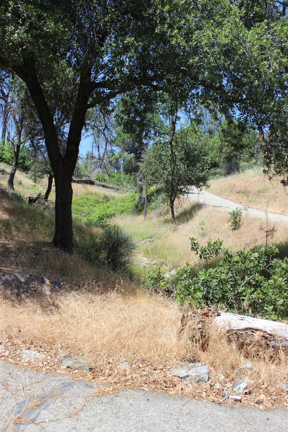 Carrousel Drive, Redding, California image 33