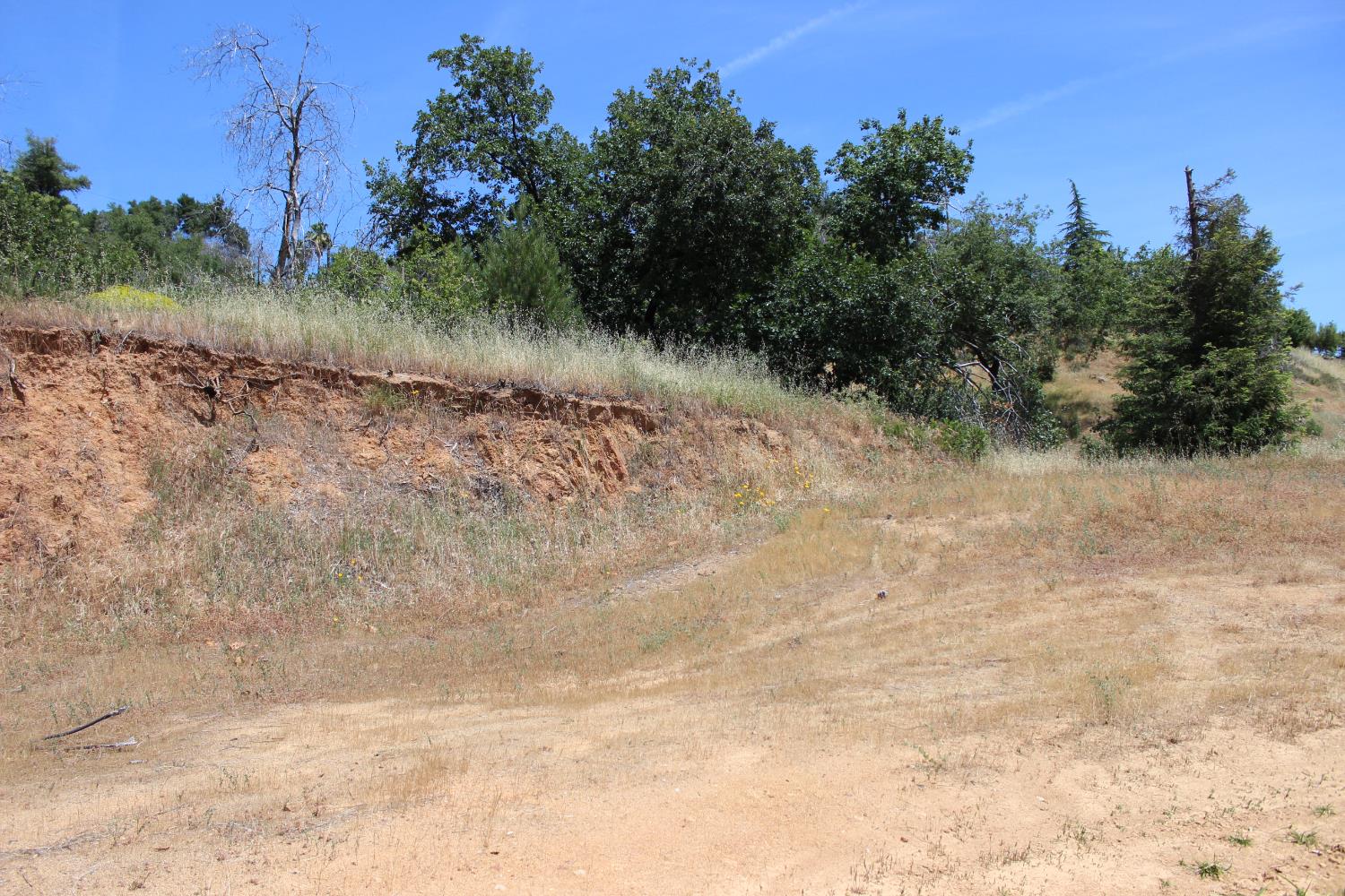 Carrousel Drive, Redding, California image 5
