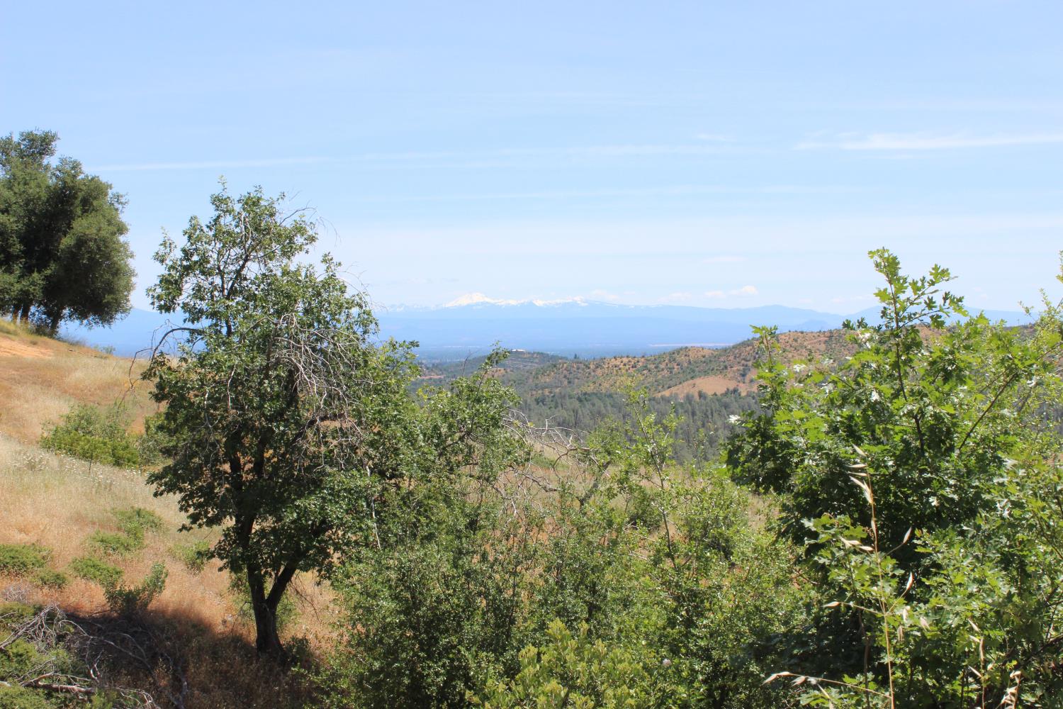 Carrousel Drive, Redding, California image 11