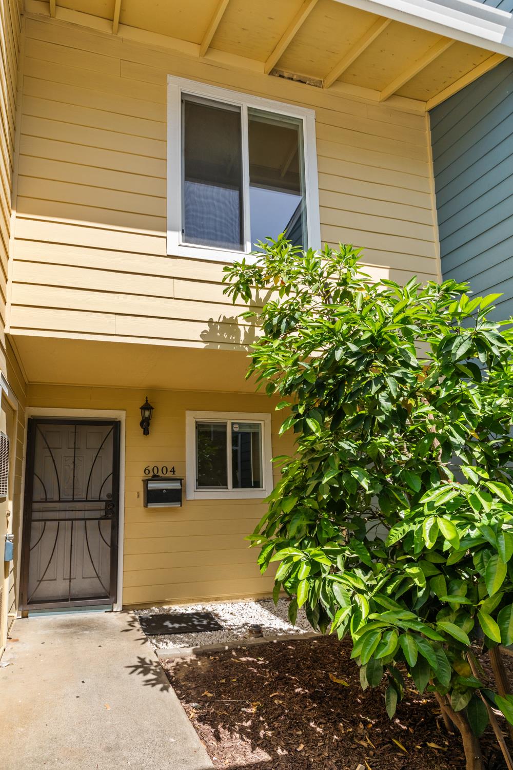 Photo #2: 225062559 Listing 