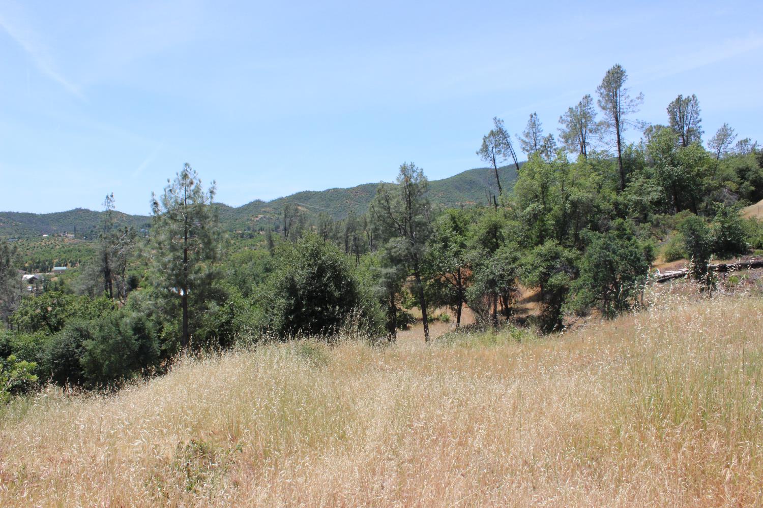 Carrousel Drive, Redding, California image 8
