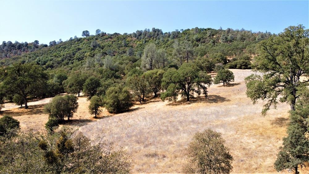 Detail Gallery Image 24 of 24 For 112 Union Mine Rd, El Dorado,  CA 95623 - – Beds | – Baths