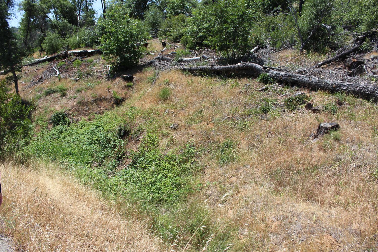 Carrousel Drive, Redding, California image 22