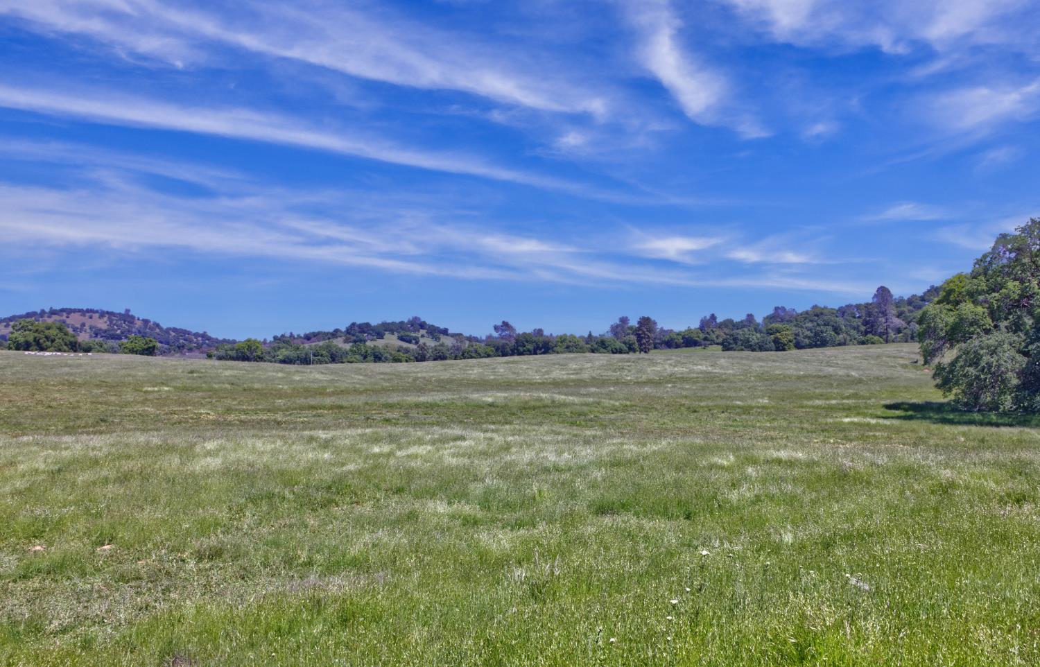 Detail Gallery Image 8 of 37 For 21012 Shenandoah School Road, Plymouth,  CA 95669 - – Beds | – Baths